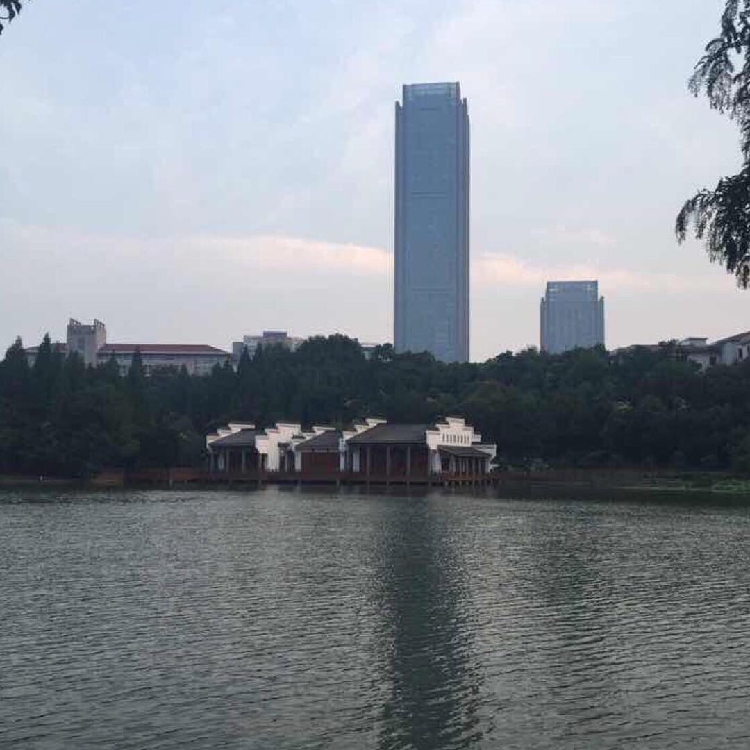 宝哥