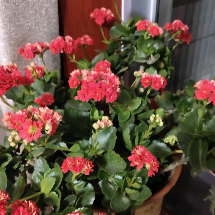 清风徐来
