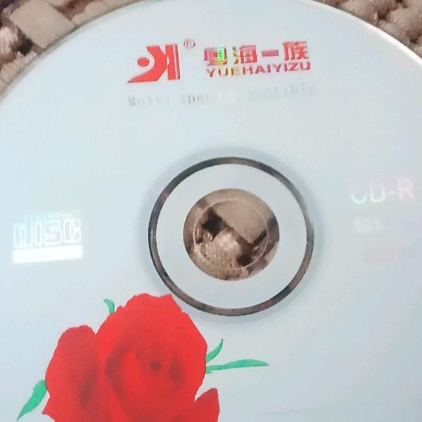 过好每一天