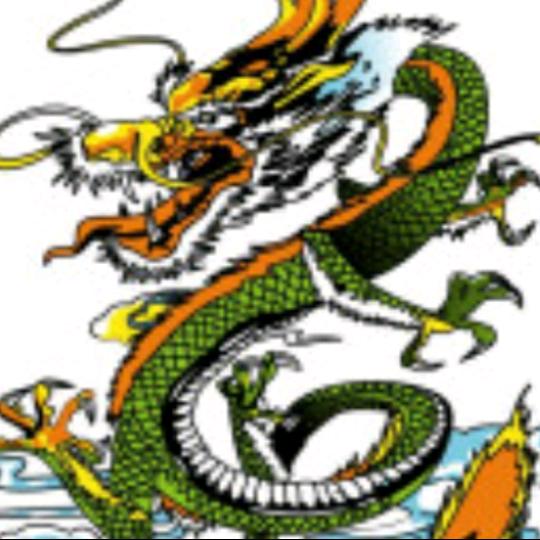 用户龙在天