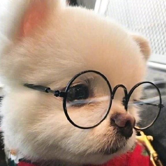 张一木木