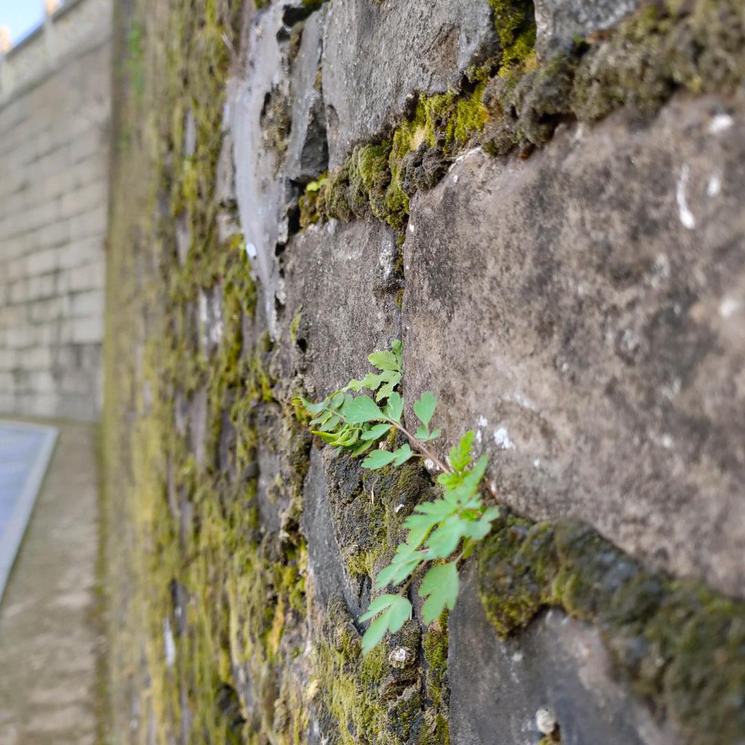 时代搏击击剑俱乐部官方号