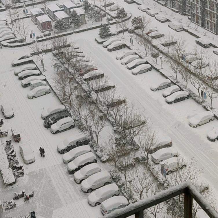 浑身散发着智慧的光芒