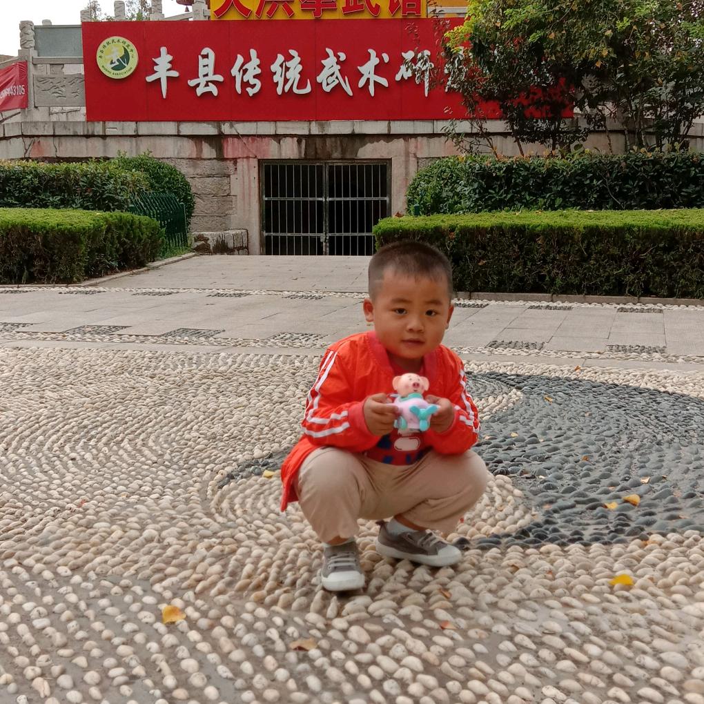 龙年发财