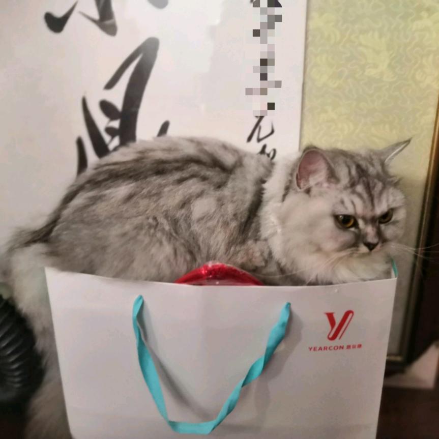什么鬼？？