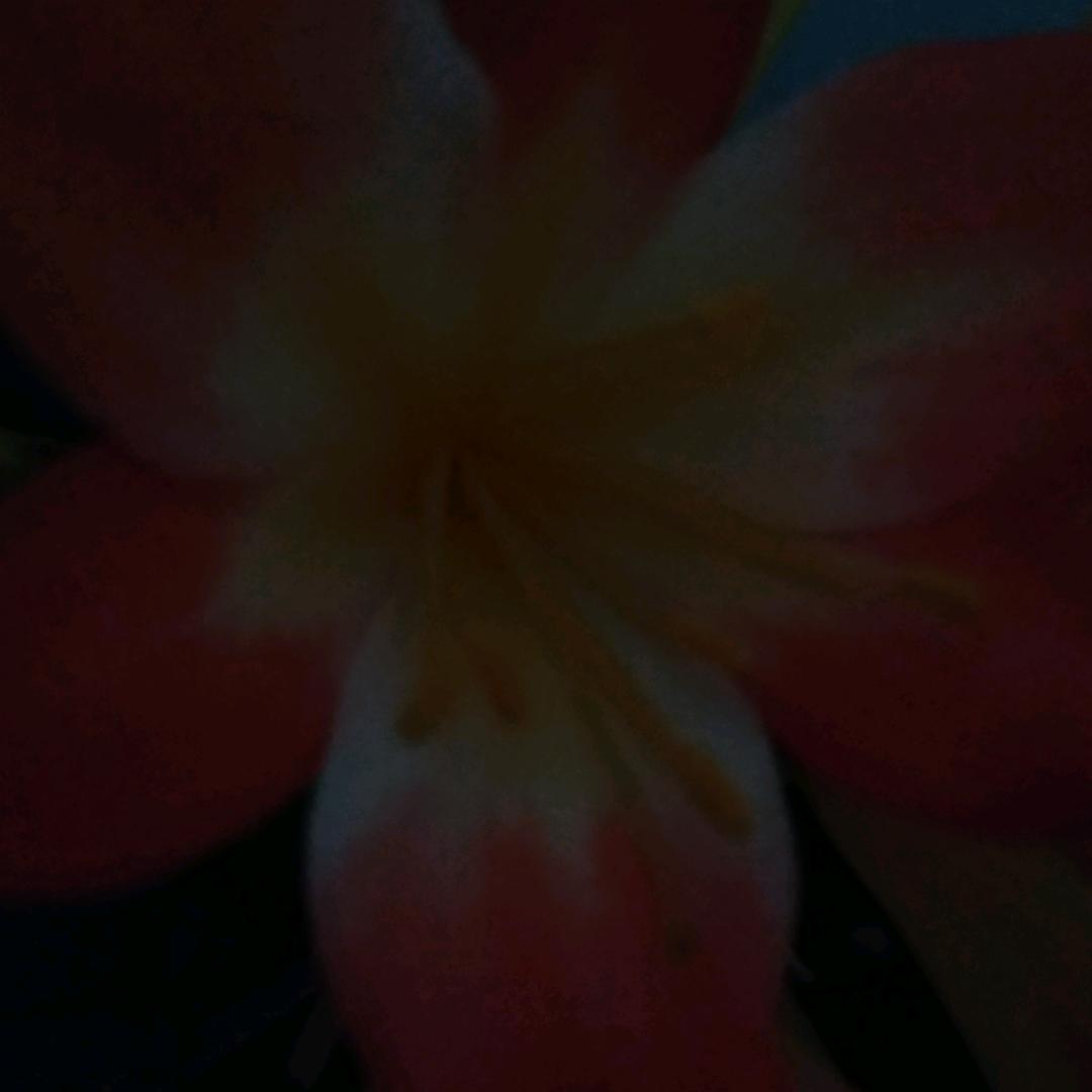 快乐一家