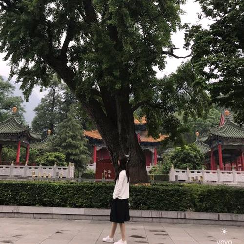 太过唯美会沉醉＃