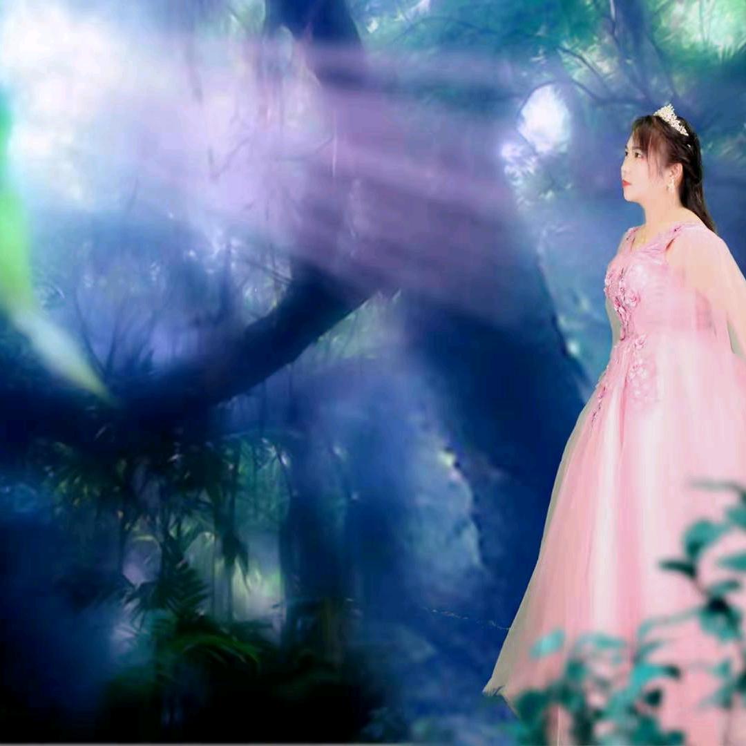 小菊