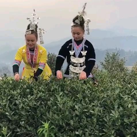 妹情