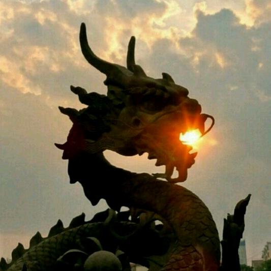 万国数字云彪哥