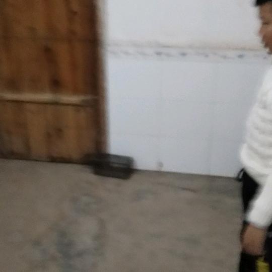 一心向阳