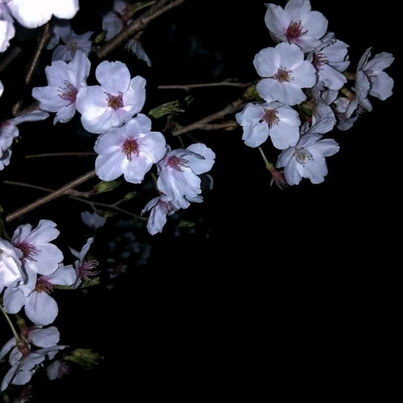 奋斗一生