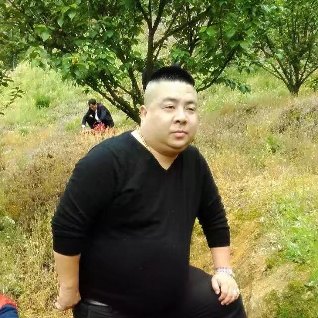 沉默的狼