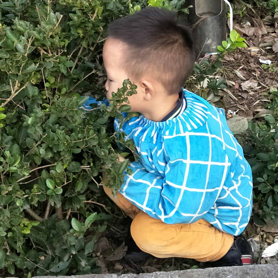 健康快乐！