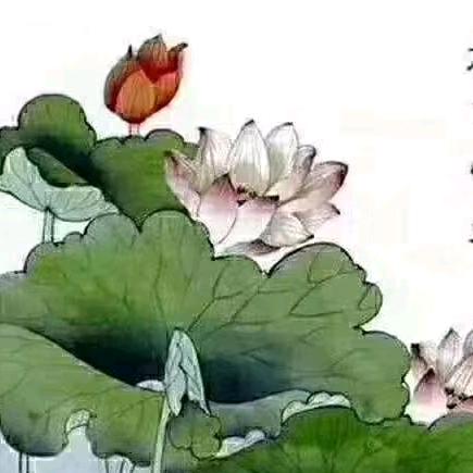 美荷