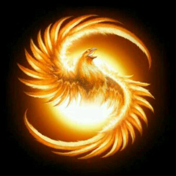 Starfish（信仰）