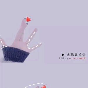 百年树袋熊