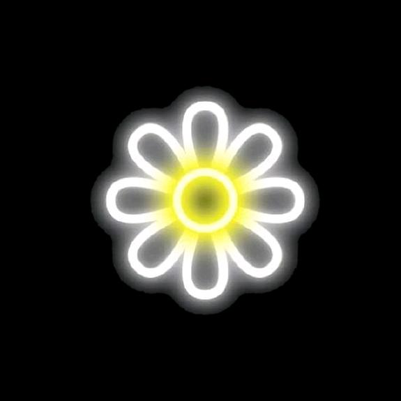 菡(๑• . •๑)