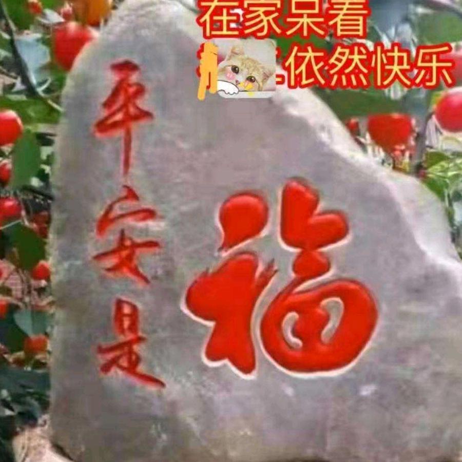 婚姻介绍办喜事元元