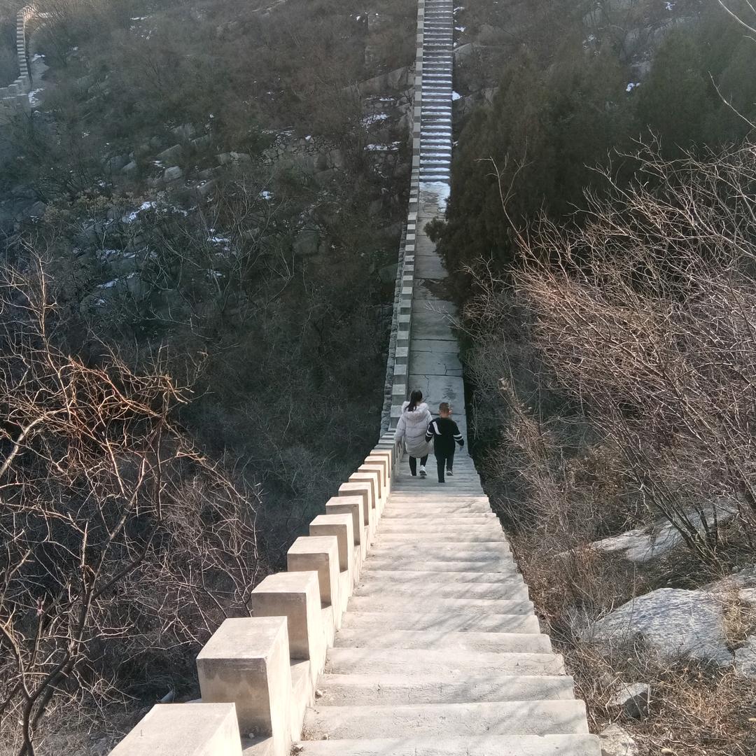 王鹏