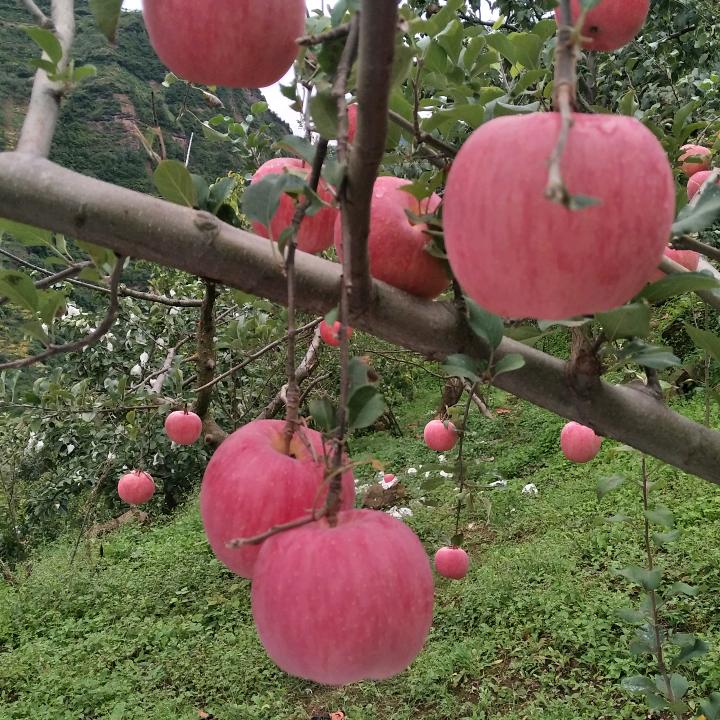 漂泊在外！何处是我家