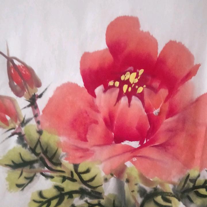 流年&岁月静好