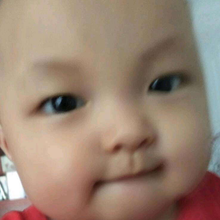 好大一棵树。