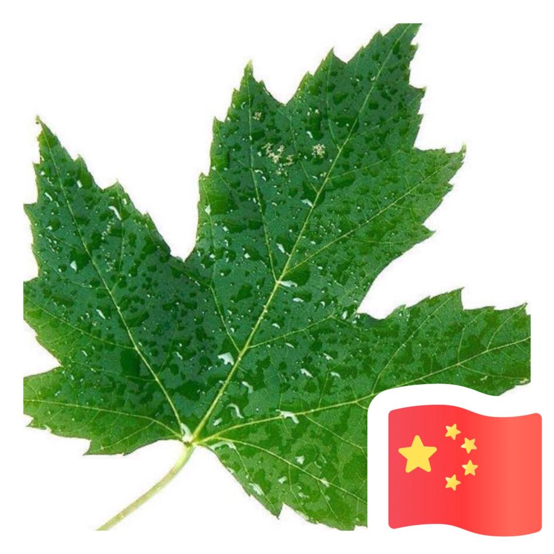 晨宇＆千羽