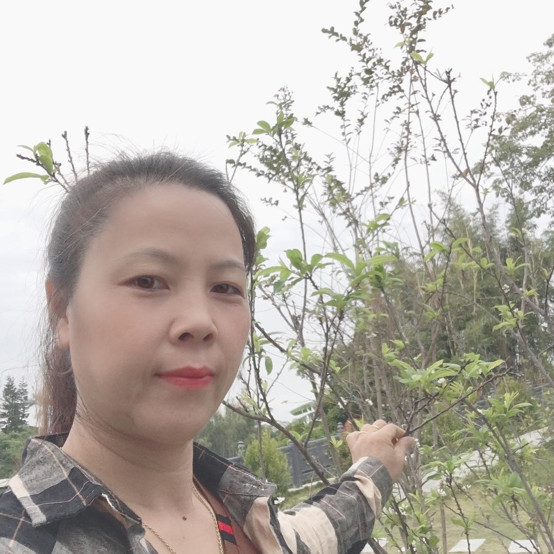 JY