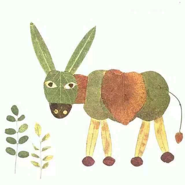 小驴光影