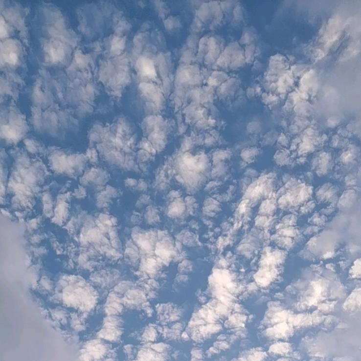 念