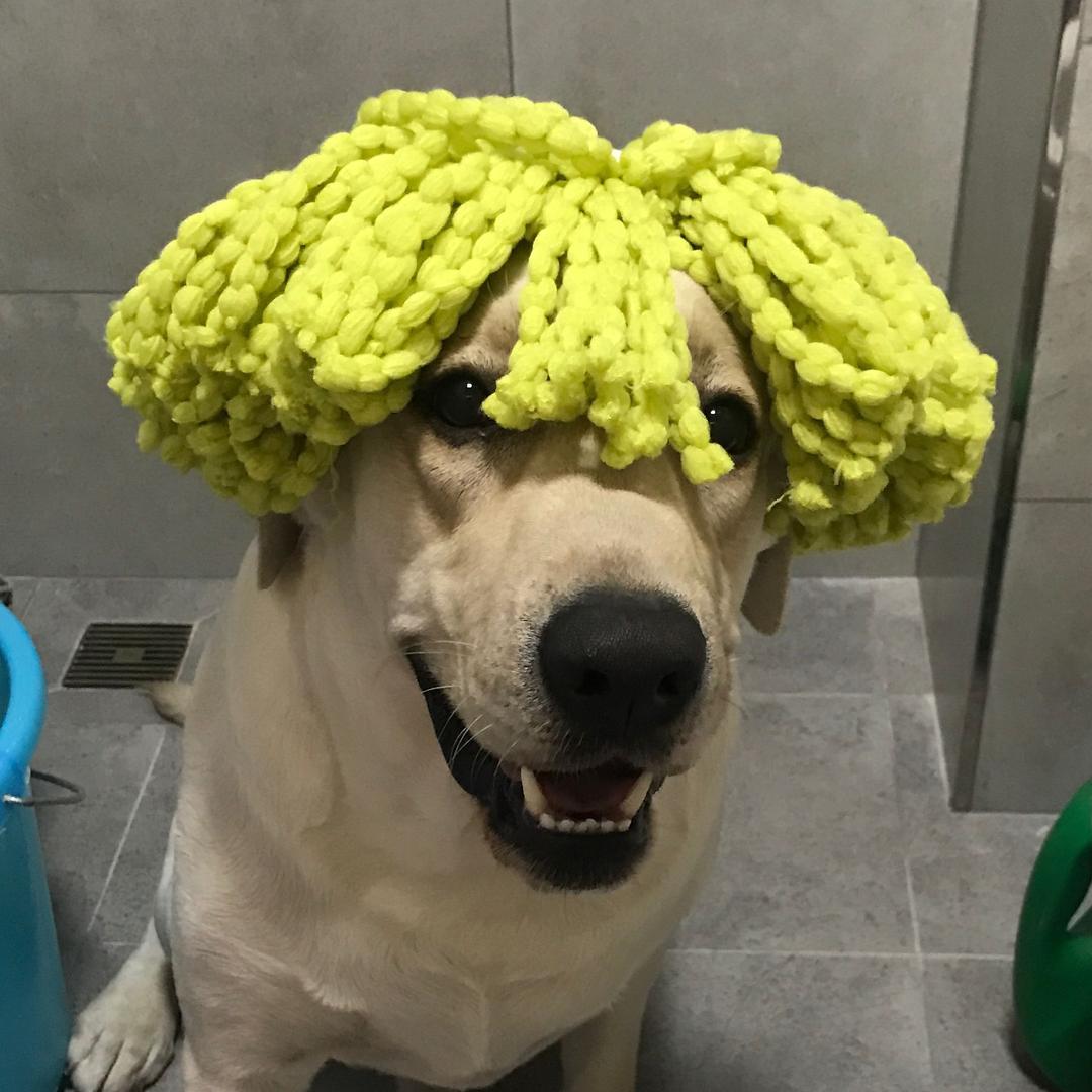 嘉多宝