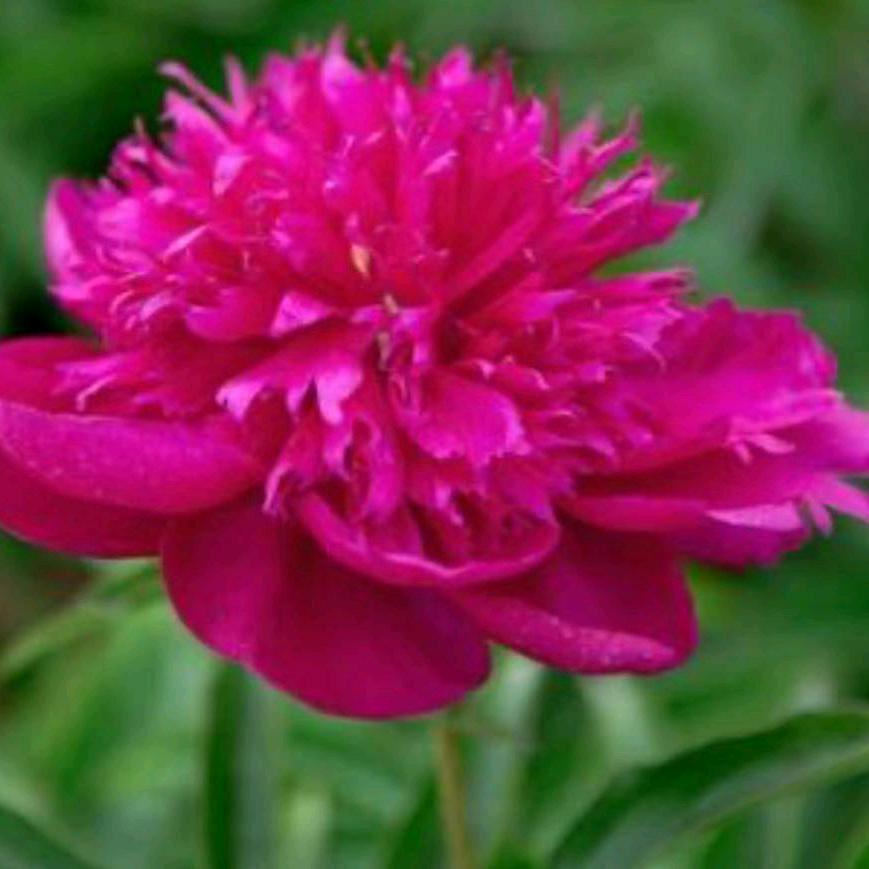 徐爱环抖音视频