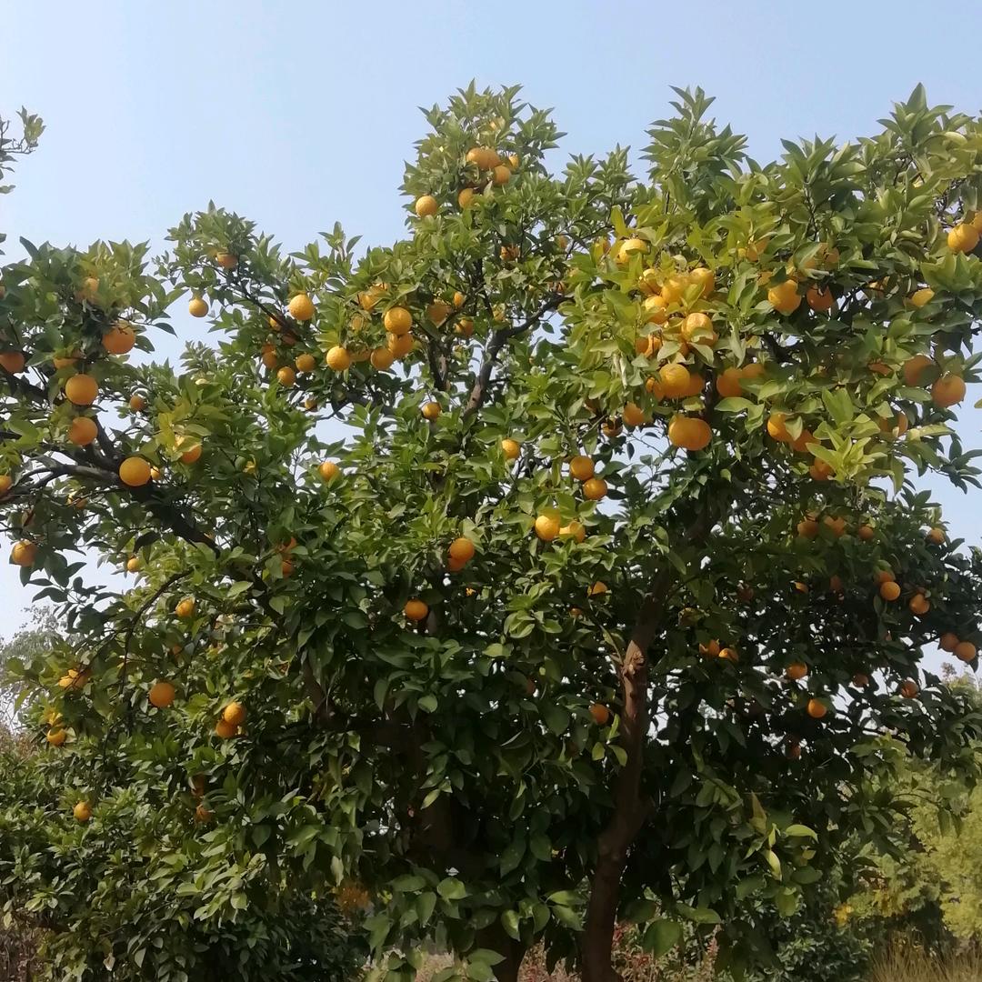 用户3614327008375！