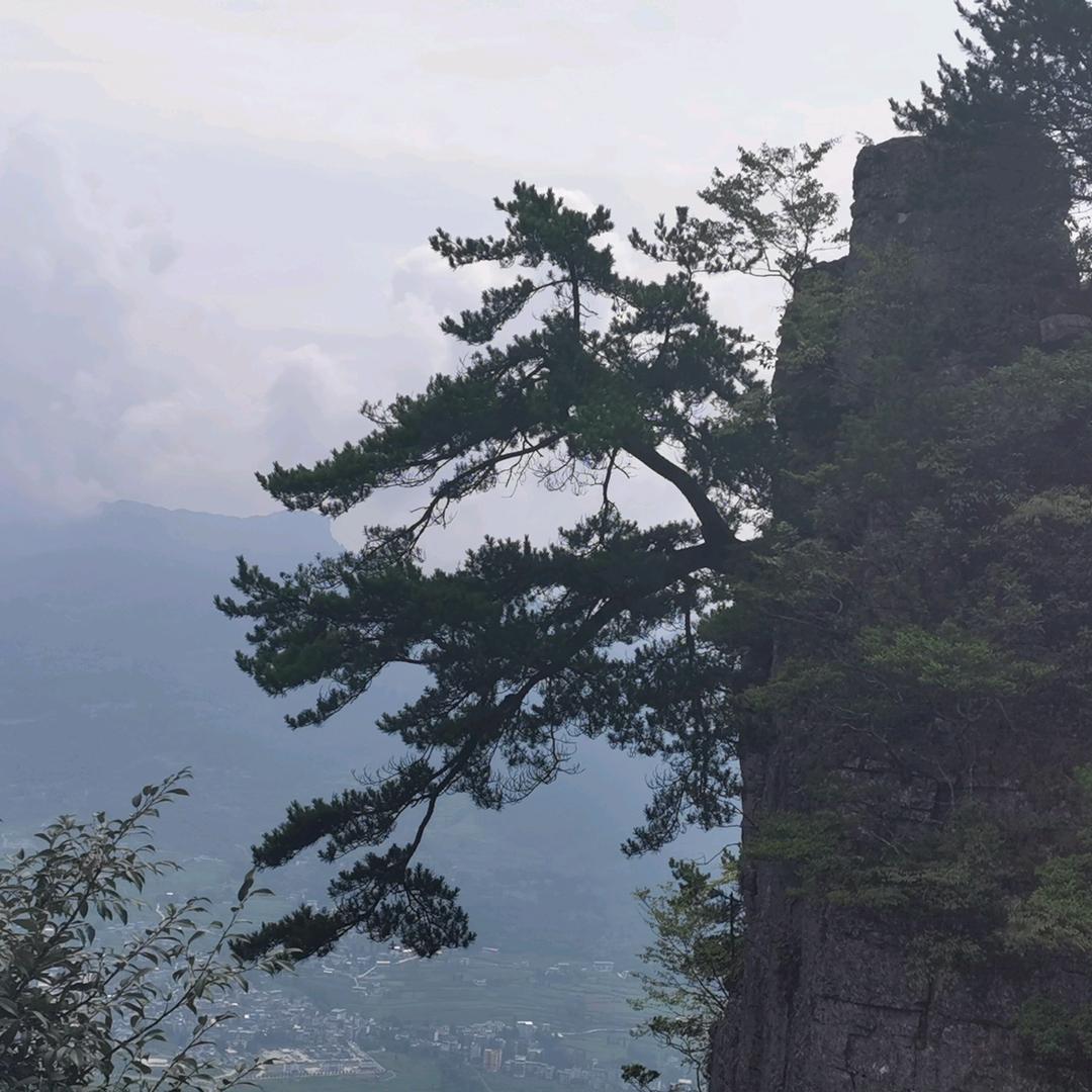 南阳市舍得广告