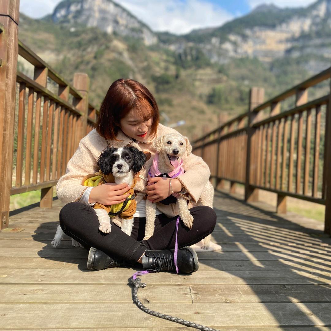 我的狗子叫肚兜🐶