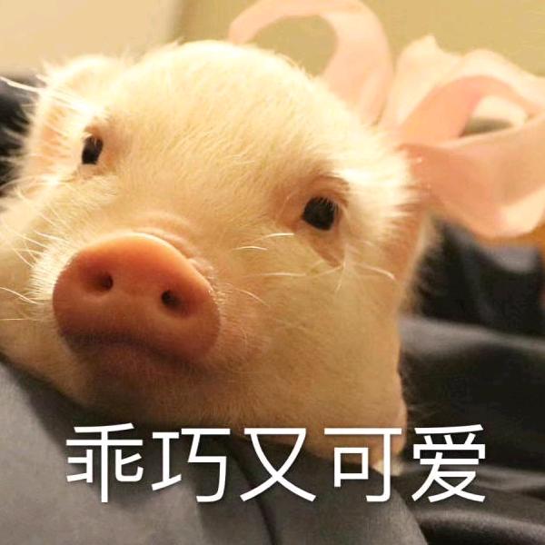 陈陈陈