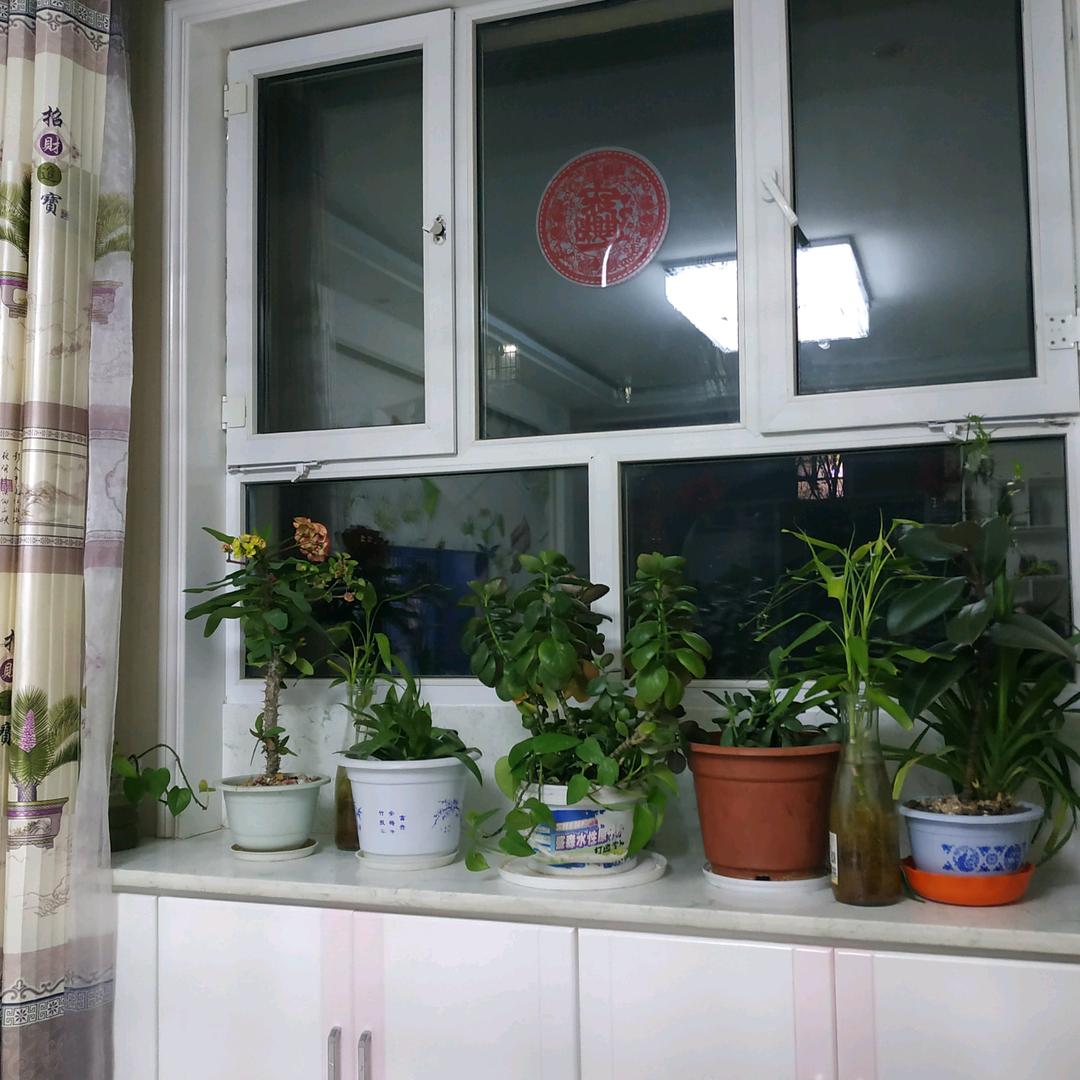 陆琼英