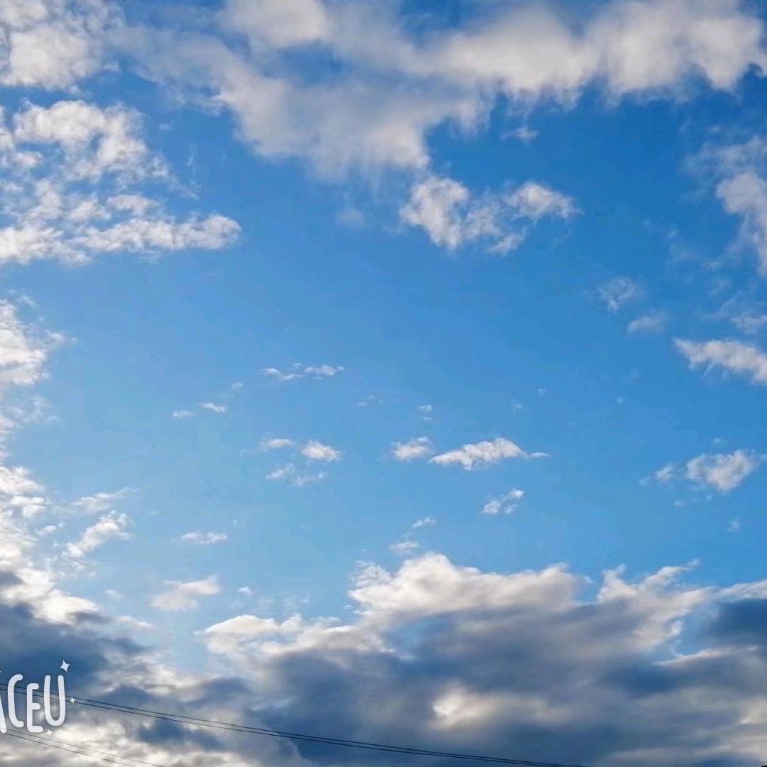 泥店刘松年马小勤种子农药门市部