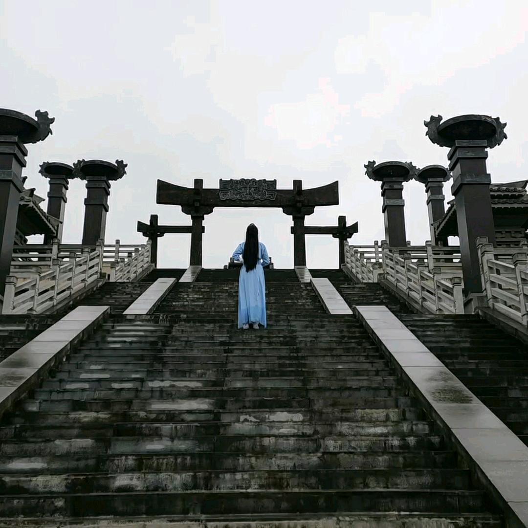 令子目