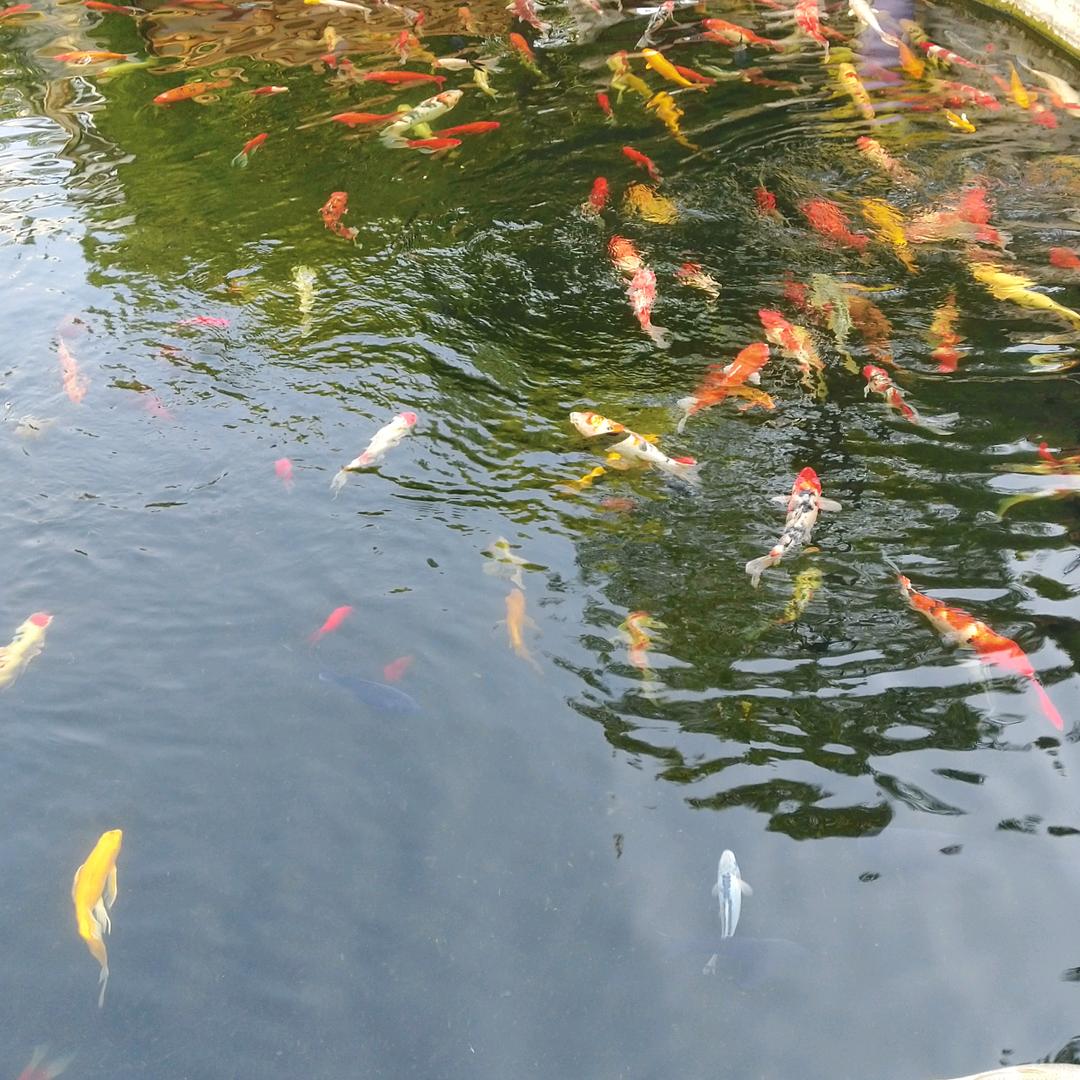 用户2543611289777