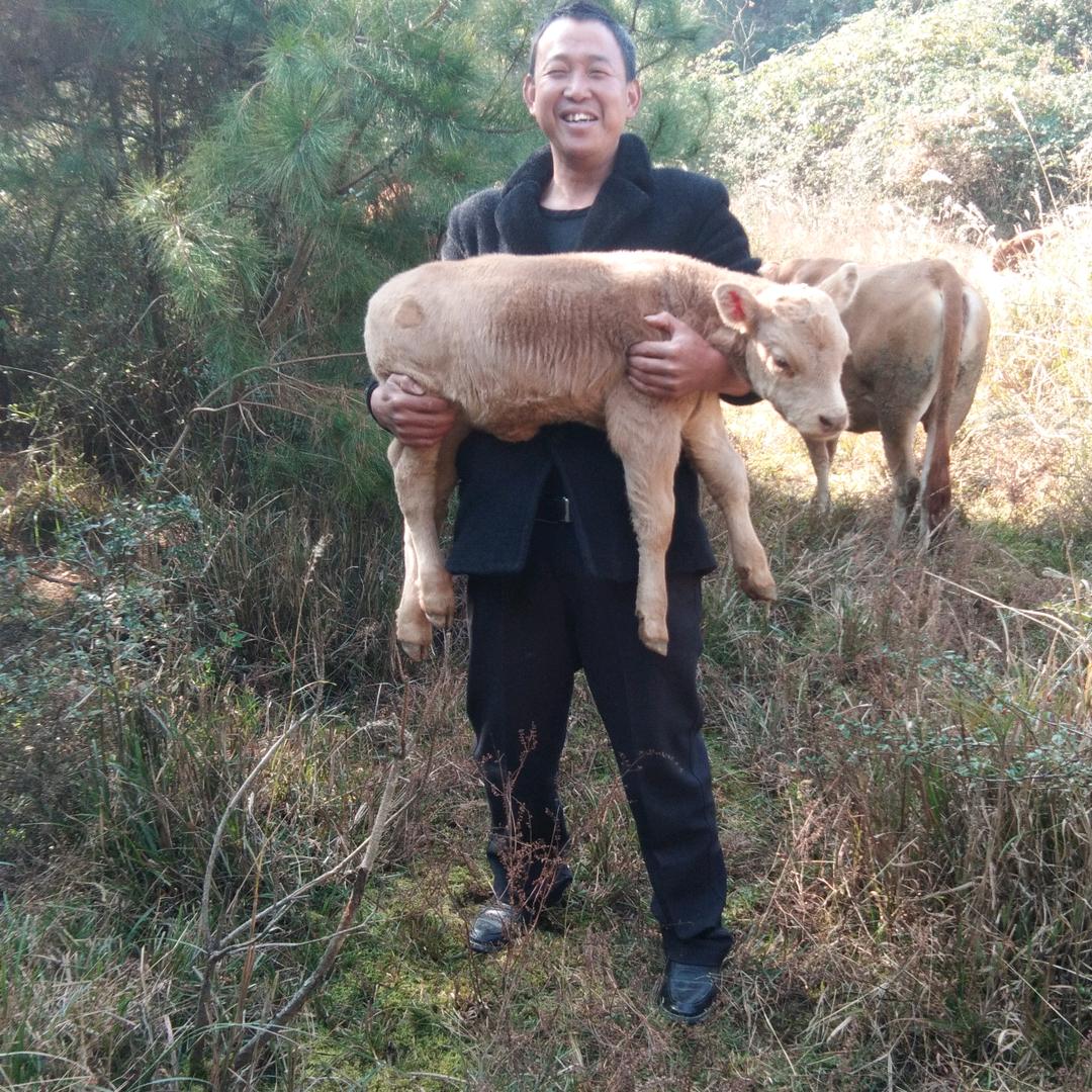 棋圣，偶像，许银川