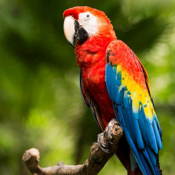 🌸我爱佛🌸曹姐（人生如茶）