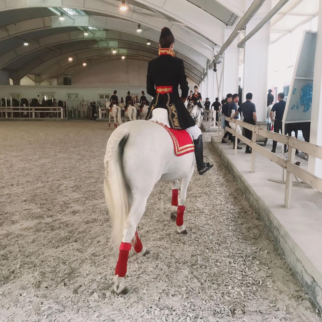 养了两只狗🐶的马术骑手🐎@抖音