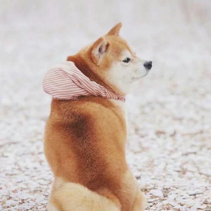 一天一天