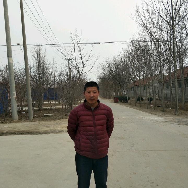 窦洪灿