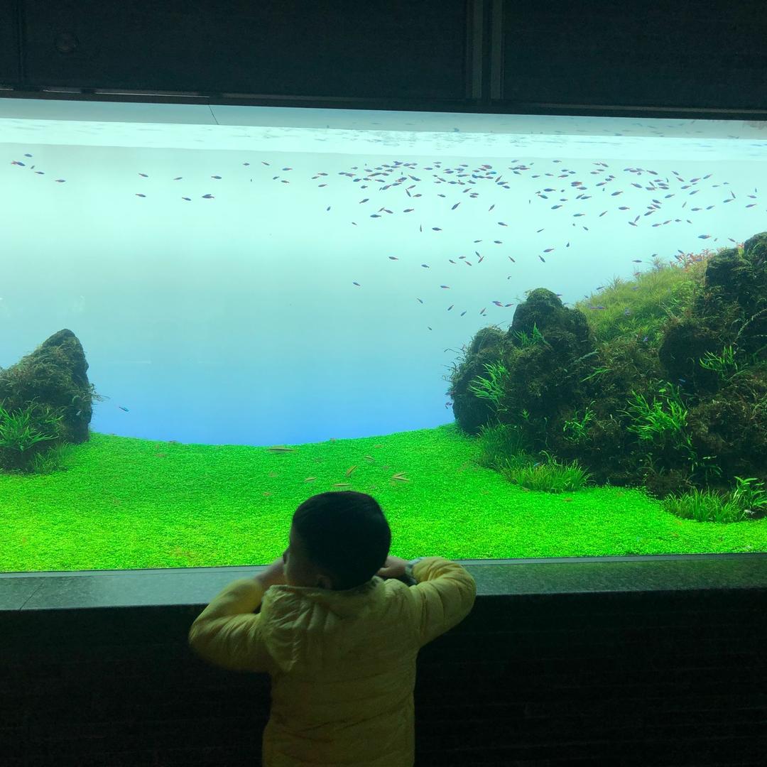 昕阳