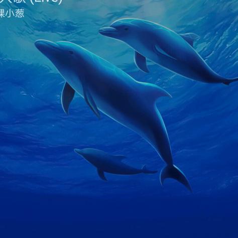 海鲜专业户