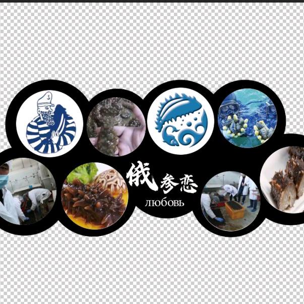 俄参恋~俄罗斯野生海参一手货源