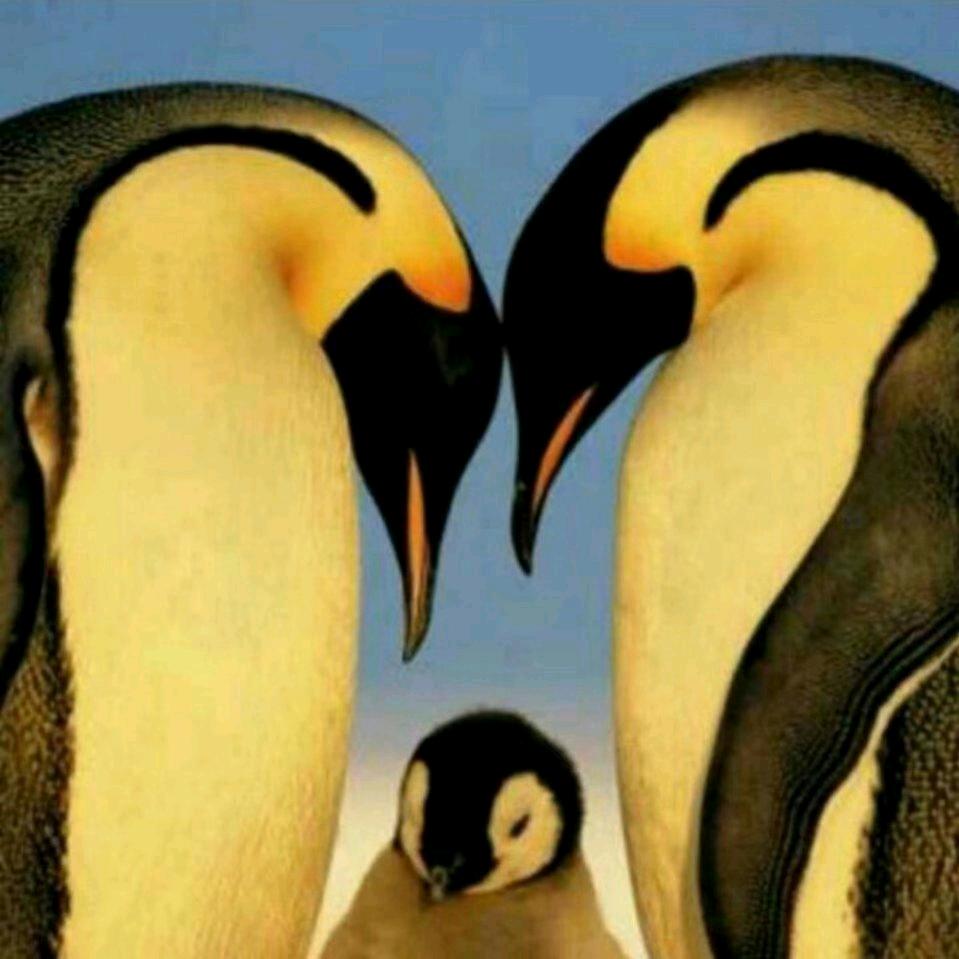 光感智能无线开窗器